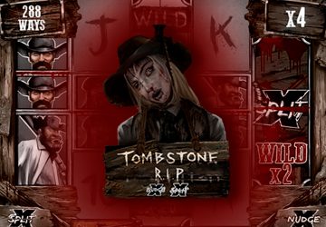 Microgaming - игровой автомат онлайн от Various с RTP 95.63%